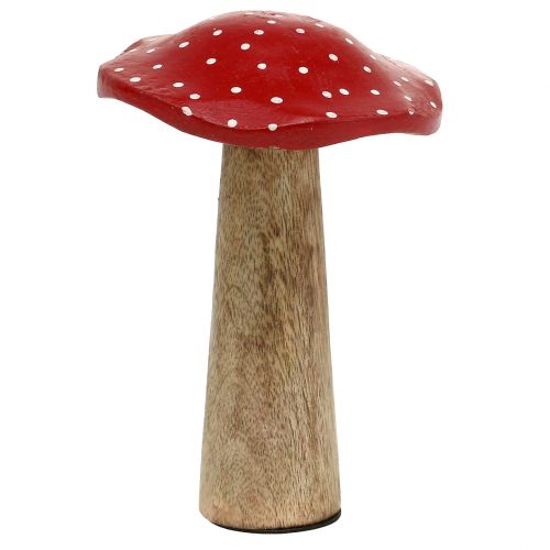 Floristik24 Paddenstoelen van hout 14cm 6st