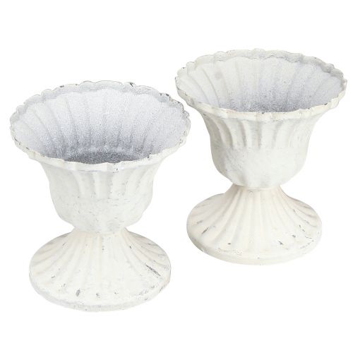 Floristik24 Decoratieve beker Shabby Chic Kelk Wit Ø8cm H8,5cm 2st