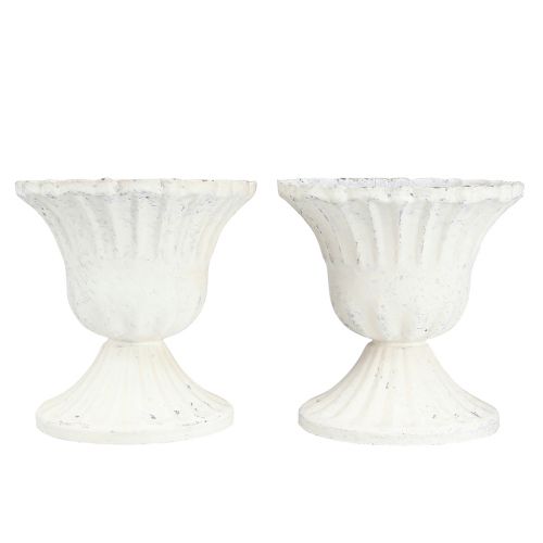 Floristik24 Decoratieve beker Shabby Chic Kelk Wit Ø8cm H8,5cm 2st