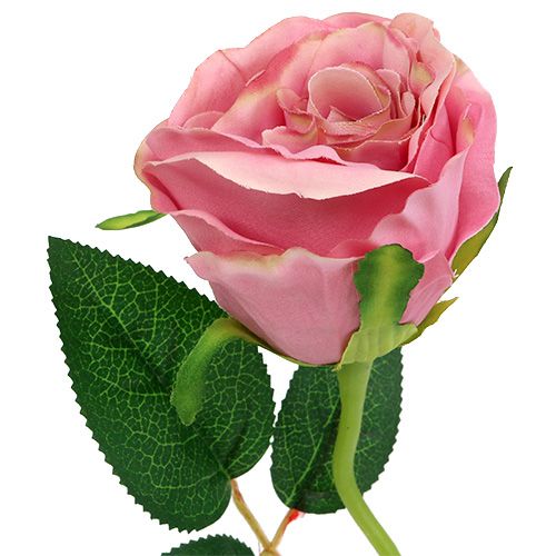 Floristik24 Decoratieve roos Ø6cm schemerig roze L50cm 1 st