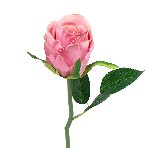 Floristik24 Deco roos Ø6cm roze L30cm 6st