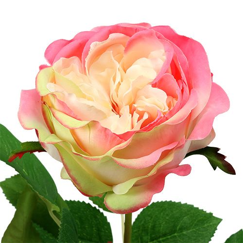 Artikel Deco rose roze Ø10cm 52cm 3st