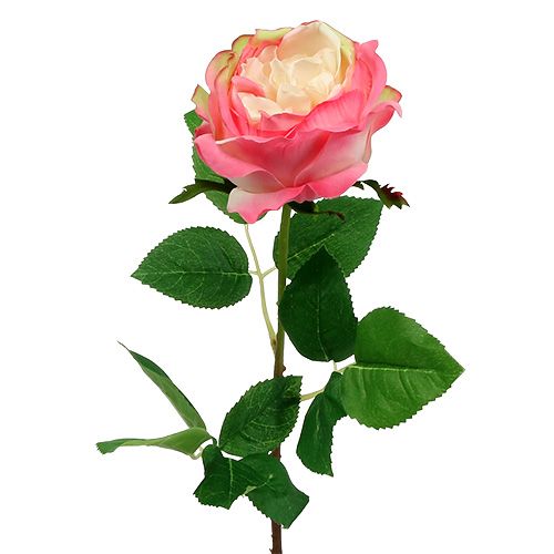 Floristik24 Deco rose roze Ø10cm 52cm 3st