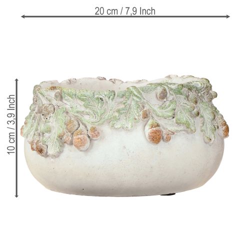 Artikel Decoratieve schaal gegoten steen eikels plantenschaal Ø20cm H10cm