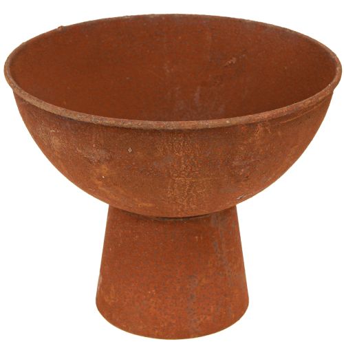 Floristik24 Decoratieve schaal met voetkom schaal roest metaal Ø20,5cm 2st