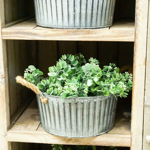 Floristik24 Sierschaal, plantenbak met handvatten, bloemschaal voor planten Ø25cm