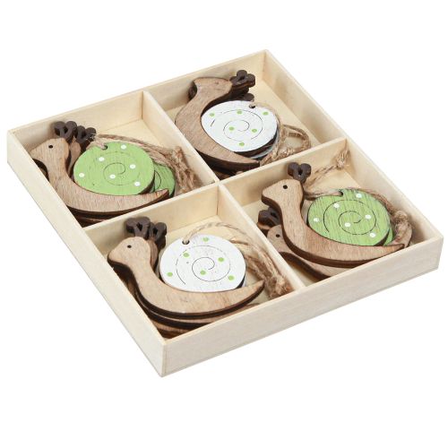 Artikel Decoratieve slakkenhoutdecoratie om op te hangen naturel groen 6,5cm 12 stuks
