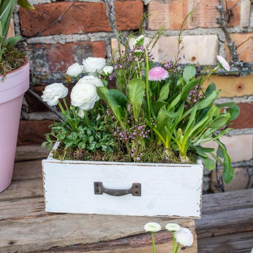 Floristik24 Decoratieve lade witte plantenbak hout vintage look 25×13×8cm