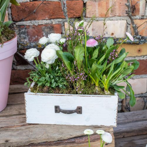 Artikel Decoratieve lade witte plantenbak hout vintage look 25×13×8cm