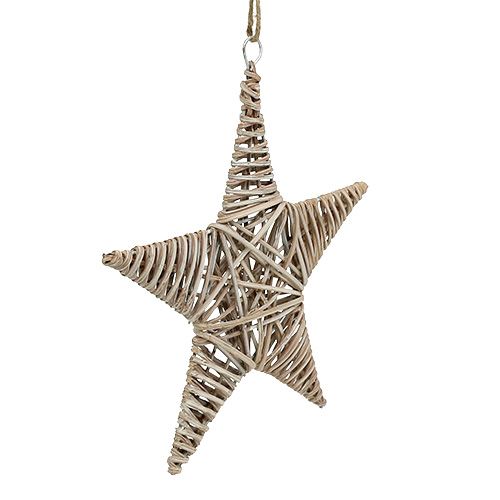 Floristik24 Decoratieve ster voor opknoping 25cm van wijnstok 1pc