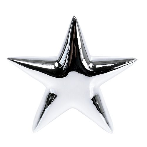 Floristik24 Deco ster zilver staand 12cm 2st