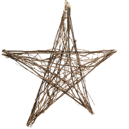 Floristik24 Decoratieve ster gemaakt van kerststertakjes om op te hangen 60cm