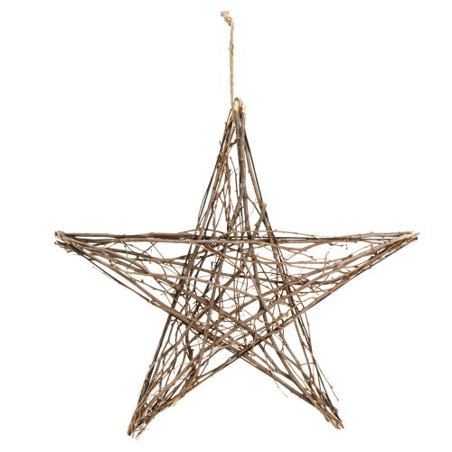 Artikel Decoratieve ster gemaakt van kerststertakjes om op te hangen 60cm