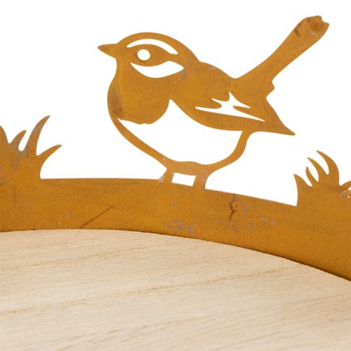 Decoratief dienblad, tafeldecoratie met vogels, lentedecoratie, geroest metaal, Ø20cm H8,5cm | Floristik24.nl