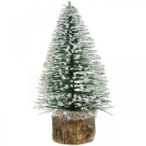 Floristik24 Kerstdecoratie, decoratieve kerstboom, mini groene dennenboom met sneeuw H15cm Ø9,5cm 6 st