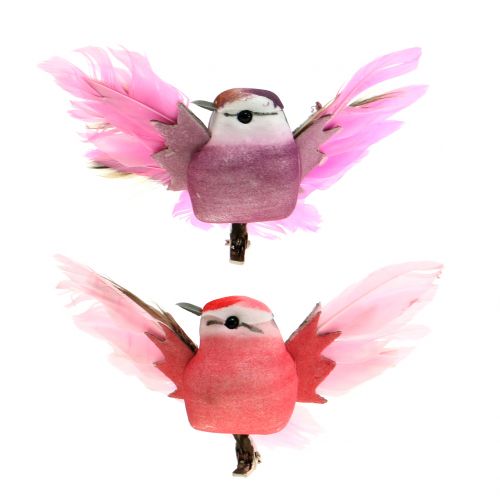 Floristik24 Decoratieve vogels op de clip roze / paars 9cm 8st