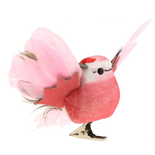 Floristik24 Decoratieve vogels op de clip roze / paars 9cm 8st