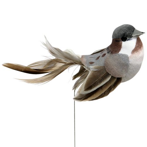 Floristik24 Decoratieve vogel grijs, bruin 8,5 cm 12st