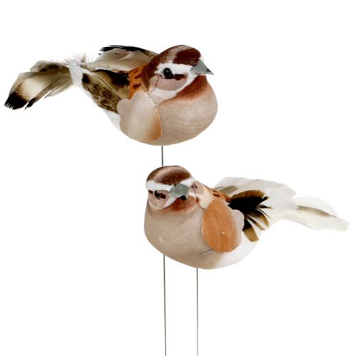 Floristik24 Decoratieve vogel om bruin te plakken 10cm 12st