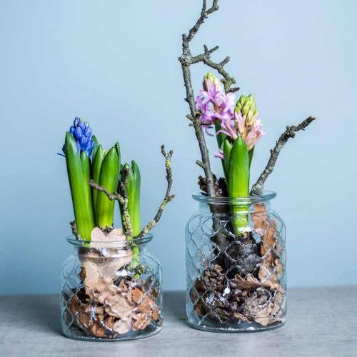 Floristik24 Decoratief lantaarn ruitpatroon, glazen vat, glazen vaas, kaarsdecoratie 2st