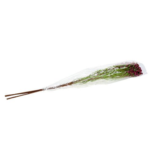 Floristik24 Decoratietak met bloemen Erika 80cm 3st