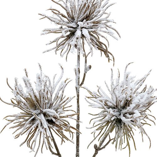 Decoratieve tak met sneeuw 45cm 3st | Floristik24.nl