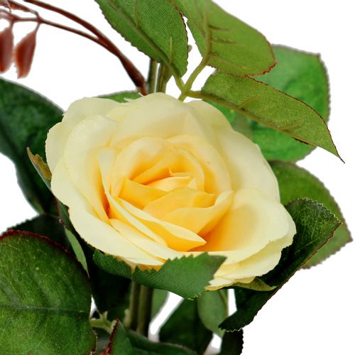 Floristik24 Decoratieve roos in een gele pot 23cm