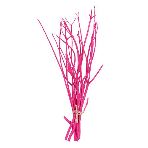 Floristik24 Decoratieve takken Mitsumata 45-60cm roze 12 st
