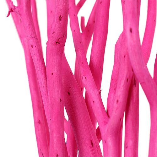 Floristik24 Decoratieve takken Mitsumata 45-60cm roze 12 st