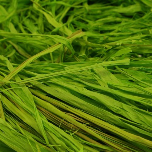 Artikel Decoratieve raffia voor het maken van natuurlijke raffia raffia appelgroen 200g