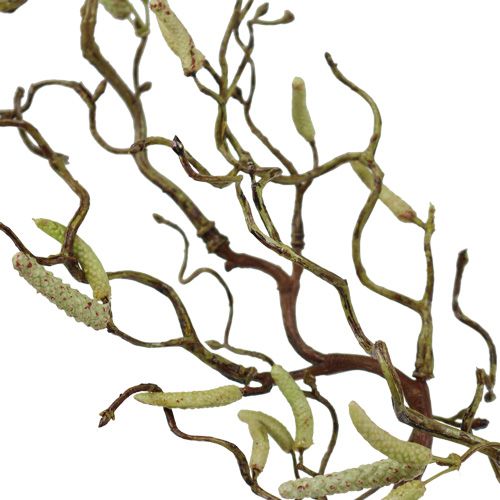 Floristik24 Decoratieve berkentak 68cm