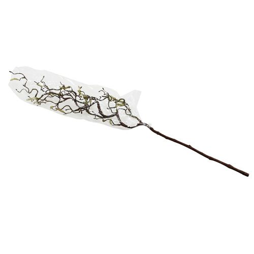 Floristik24 Decoratieve berkentak 68cm