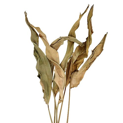 Floristik24 Decoratieve bladeren natuur 120cm 20 st