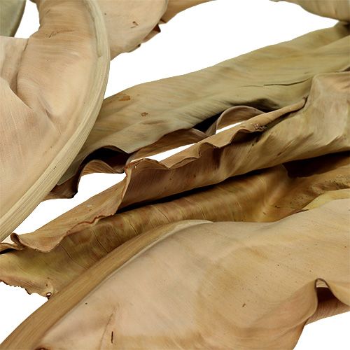 Floristik24 Decoratieve bladeren natuur 120cm 20 st
