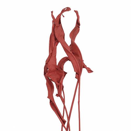 Decoratieve bladeren Strelitzia rood 85-105cm 10 stuks