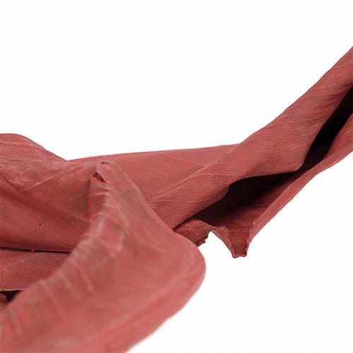 Floristik24 Decoratieve bladeren Strelitzia rood 85-105cm 10 stuks