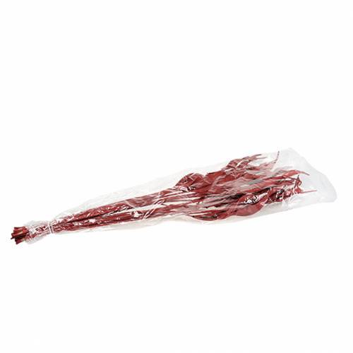 Floristik24 Decoratieve bladeren Strelitzia rood 85-105cm 10 stuks