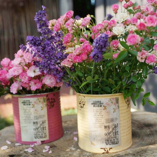 Artikel Decoratieve tinnen, abrikooskleurige, metalen plantenpot, zomerdecoratie, Ø15,5 cm H15 cm