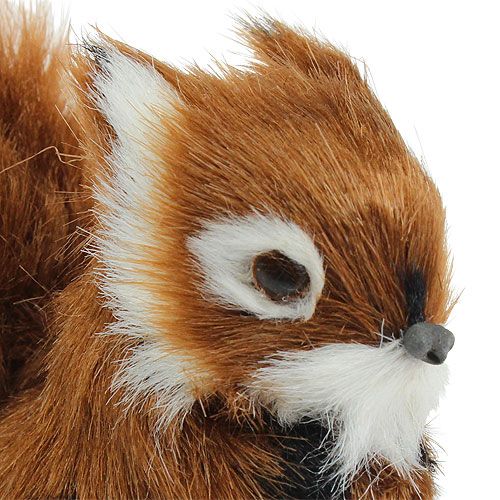 Floristik24 Decoratieve eekhoorn bruin 8,5 cm