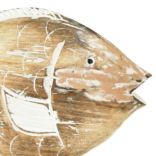 Floristik24 Decoratieve houten visstandaard op wortel maritieme decoratie 27cm