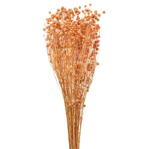 Artikel Deco Vlas Gedroogd Droogbloemen Abrikoos Naturel 80g