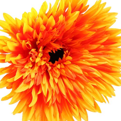 Floristik24 Decoratieve Gerbera Oranje Ø15cm L88cm