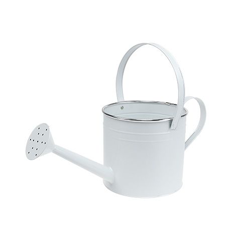 Floristik24 Decoratieve gieter wit Ø17cm H17cm 1p