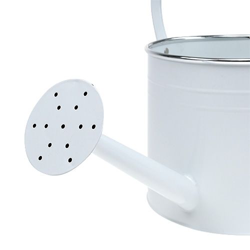 Floristik24 Decoratieve gieter wit Ø17cm H17cm 1p