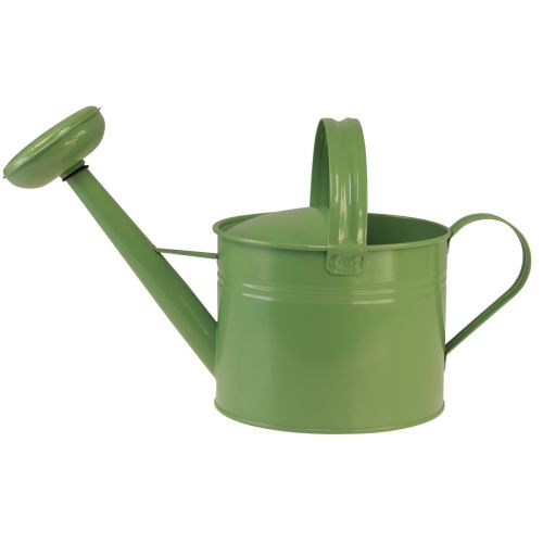 Artikel Decoratieve gieter voor planten metaal mint H26cm 5L