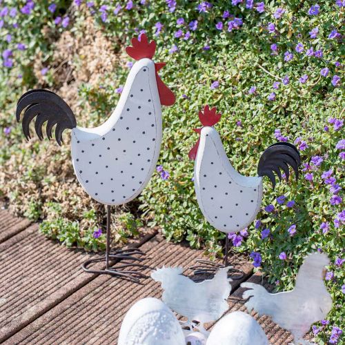 Floristik24 Decoratief haan hout gestippeld wit decoratief figuur Pasen H21cm 2st