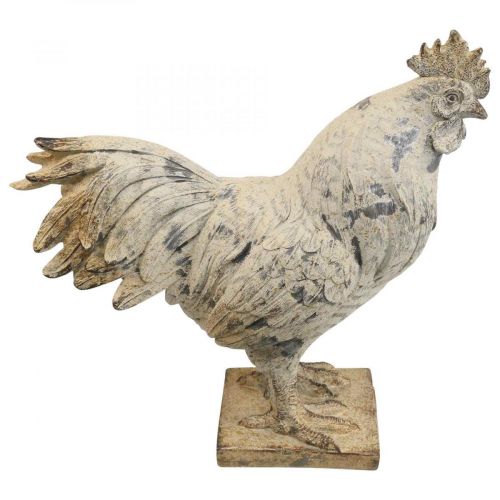 Floristik24 Decoratieve haan voor tuin decoratief figuur steenlook H26cm