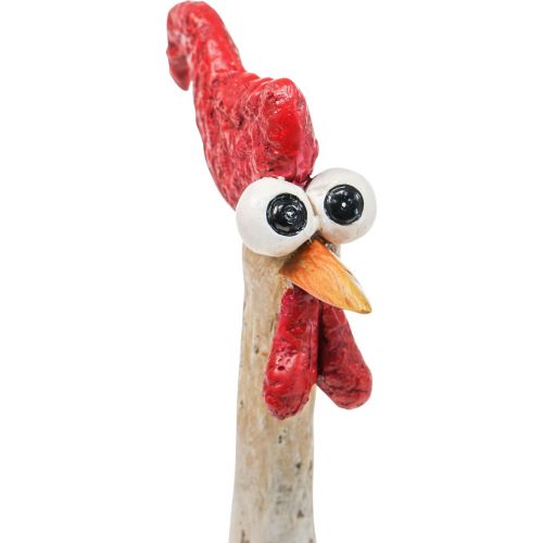 Floristik24 Decoratie Kippen Decoratie Figuur Pasen Decoratie Kip Grappig H26cm