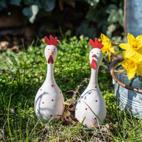 Floristik24 Decoratief kippenhout wit met stippen paasfiguur Ø7cm H20cm