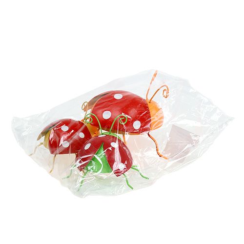 Floristik24 Decoratiekever diverse kleuren 8cm 3st